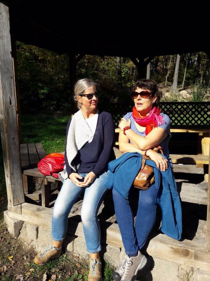 Petra Maria Soelle - Ferienhaus Sehr Privat Presseggersee Dış mekan fotoğraf