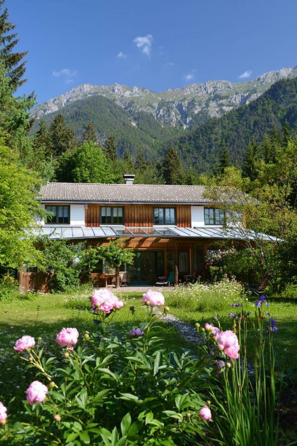 Petra Maria Soelle - Ferienhaus Sehr Privat Presseggersee Dış mekan fotoğraf